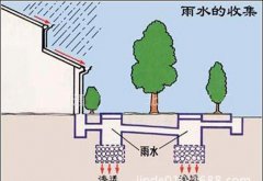 初期雨水收集為什么這么重要？